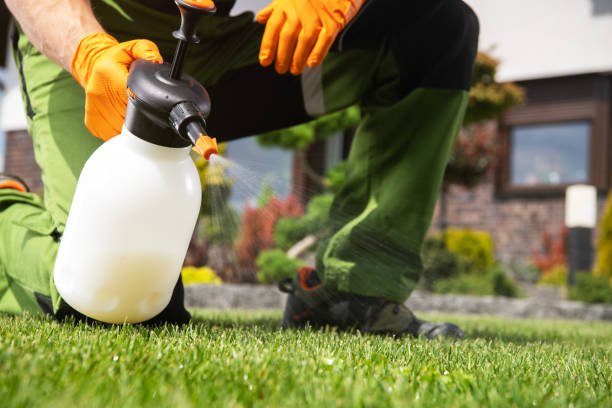 Insect Control in Eunice, NM
