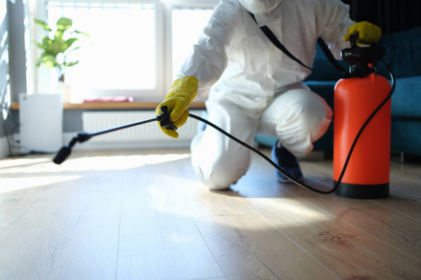 Best Pest Prevention Services  in Eunice, NM
