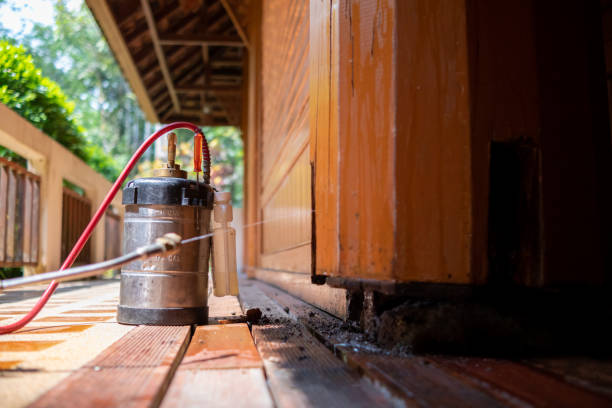 Best Affordable Pest Control Services  in Eunice, NM