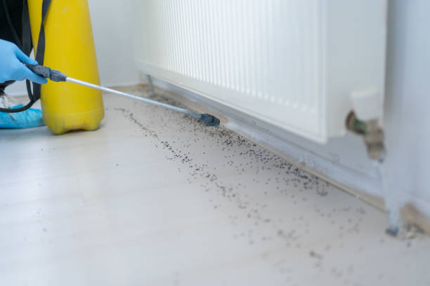 Best Pest Control Near Me  in Eunice, NM